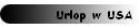 Urlop w USA